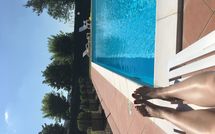 Bild vorgelegt von den Gästen von Il Pasqualino 