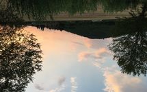 Bild vorgelegt von den Gästen von Il Pasqualino 