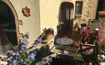 Bild vorgelegt von den Gästen von Guardistallo 