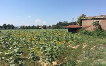 Bild vorgelegt von den Gästen von Villa la Fragola 