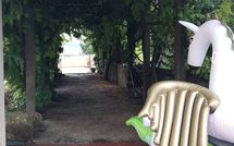 Bild vorgelegt von den Gästen von Montegufoni 