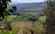 Bild vorgelegt von den Gästen von Cerretalta 