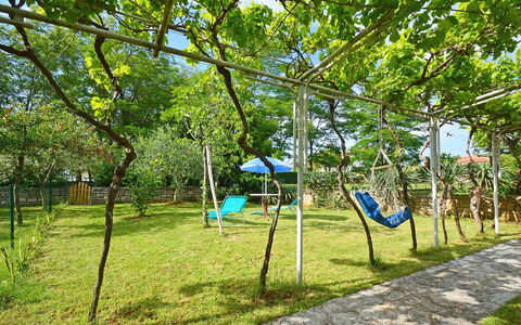 Aron: Pflanze, Baum, Natürliche Landschaft, Schatten, Gras, Freizeit, Landschaft, Erholung, Tönungen Und Schatten, Pole