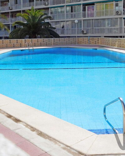 Halcon Levante