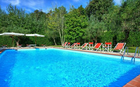 Villa Fiamma: Wasser, Pflanze, Schwimmbad, Himmel, Azurblau, Wolke, Baum, Gartenmöbel, Natürliche Landschaft, Rechteck