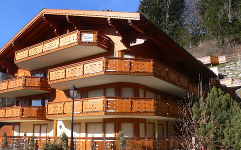 Les Cîmes 8: Pflanze, Eigentum, Gebäude, Himmel, Fenster, Baum, Holz, Wohngebiet, Freizeit, Fassade