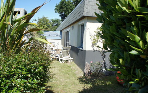 Ty Greg: Pflanze, Eigentum, Pflanzengemeinschaft, Gebäude, Himmel, Baum, Haus, Vegetation, Arecales, Grundstueck