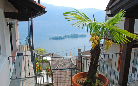 Ronco Sopra Ascona 75: Himmel, Pflanze, Blumentopf, Zimmerpflanze, Gebäude, Wolke, Vegetation, Berg, Holz, Arecales