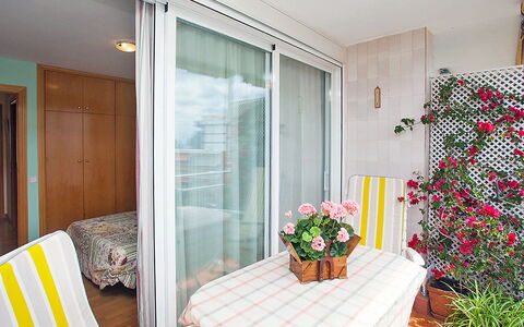 Mariola: Blume, Pflanze, Tabelle, Möbel, Stuhl, Tür, Blumentopf, Fenster, Textil, Orange