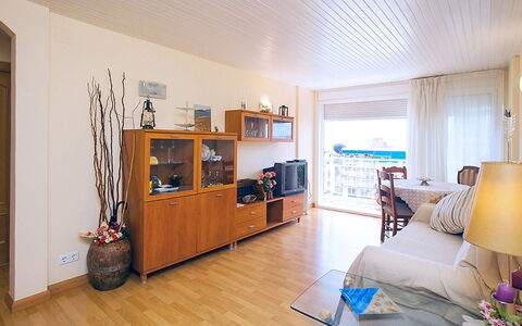 Mariola: Couch, Zimmerpflanze, Pflanze, Bilderrahmen, Cabinetry, Interior Design, Wohnzimmer, Holz, Flooring, Haushaltsgerät