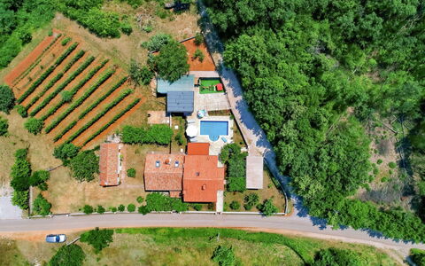 Marija: Pflanze, Gebäude, Natürliche Landschaft, Baum, Grundstueck, Urban Design, Durchgangsstrasse, Steigung, Haus, Wohngebiet