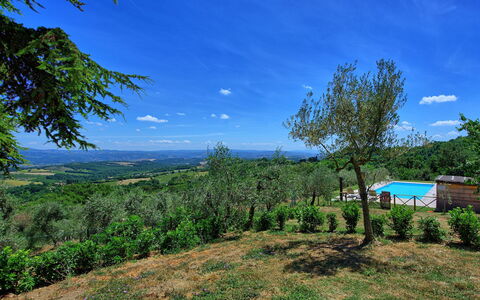 Casa Olivia: Natur, Vegetation, Himmel, Natürliche Landschaft, Blau, Eigentum, Baum, Grün, Natürlichen Umgebung, Wildnis