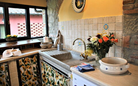Mulino a Montegonzi Di Rimaggio: Countertop, Eigentum, Pflanze, Cabinetry, Fenster, Küche, Sinken, Interior Design, Fussboden, Spüle