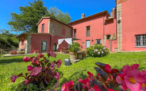 Mulino a Montegonzi Di Rimaggio: Blume, Himmel, Pflanze, Fenster, Gebäude, Grün, Blumentopf, Baum, Gras, Haus