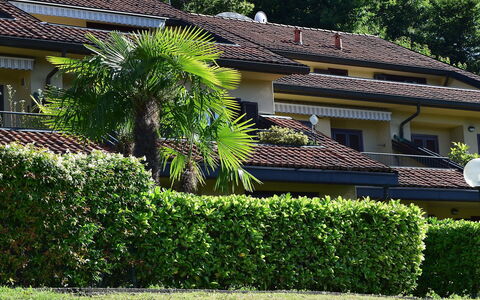 La Romantica: Pflanze, Gebäude, Fenster, Pflanzengemeinschaft, Grün, Baum, Haus, Vegetation, Gras, Wohngebiet