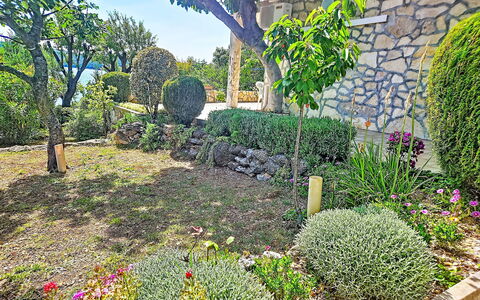 Matal: Blume, Garten, Strauch, Pflanzengemeinschaft, Ground, Frühling, Hinterhof, Landscaping, Garten