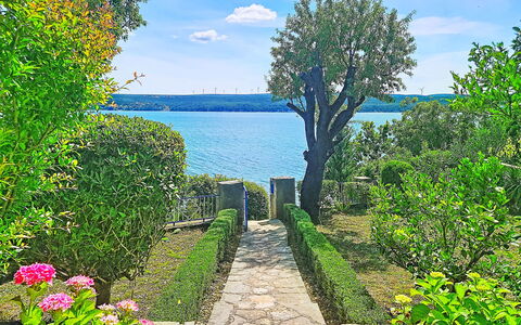 Matal: Blau, Grün, Strauch, Garten, Meer, Frühling, See, Ozean, Küste, Reservoir