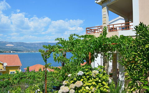 Snježana: Himmel, Blume, Pflanze, Wolke, Eigentum, Gebäude, Fenster, Natur, Azurblau, Haus