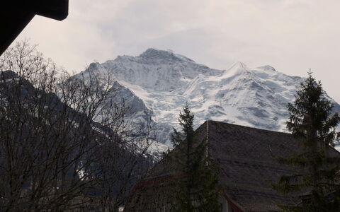 Im Gruebi Apt.5: Wolke, Himmel, Berg, Schnee, Steigung, Baum, Pflanze, Hochland, Atmosphärisches Phänomen, Bergforms