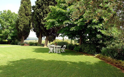 Di Vinci: Rasen, Gras, Eigentum, Baum, Garten, Natürliche Landschaft, Haus, Garten, Graspflanze, Strauch