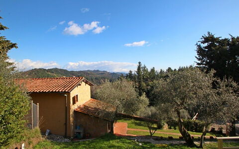 Villa Del Colle: Wolke, Pflanze, Himmel, Eigentum, Ökoregion, Natürliche Landschaft, Baum, Natürlichen Umgebung, Fenster, Grundstueck