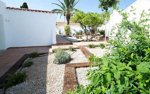 Trebol: Eigentum, Vegetation, Grundeigentum, Garten, Haus, Garten, Wand, Gras, Hinterhof, Wohngebiet