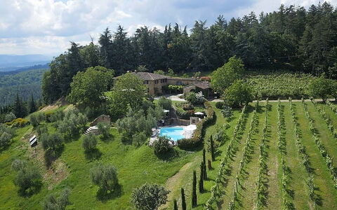 Villa Flora: Bergstation, Hochland, Biome, Wildnis, Plantage, Baum, Landschaft, Ländliches Gebiet, Grundstueck, Fotografie