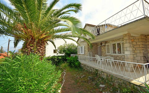Villa Palma: Pflanze, Himmel, Eigentum, Wolke, Pflanzengemeinschaft, Fenster, Gebäude, Botanik, Vegetation, Arecales