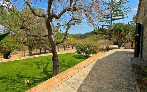 Can Coll: Eigentum, Baum, Grundeigentum, Gras, Estate, Frühling, Haus, Gebäude, Die Architektur, Zuhause