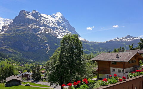Chalet im Klusi: Himmel, Pflanze, Berg, Blume, Wolke, Eigentum, Ökoregion, Fenster, Natur, Blatt