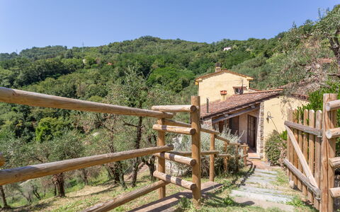 Villa Mastiano: Eigentum, Ländliches Gebiet, Grundeigentum, Baum, Haus, Landschaft, Gebäude, Pflanze, Dorf, Strasse