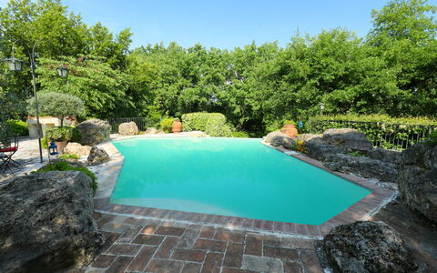 Oasis: Wasser, Pflanze, Himmel, Wasservorräte, Schwimmbad, Azurblau, Baum, Natürliche Landschaft, Vegetation, Gras