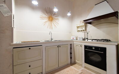 Apartment 1: Cabinetry, Countertop, Sinken, Zapfhahn, Spüle, Küche, Holz, Interior Design, Armatur, Herd
