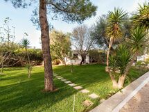 Masseria Alessio