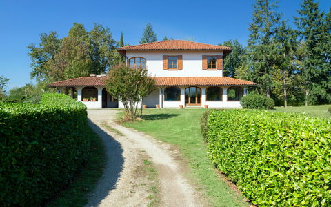 Villa Cinzia: Pflanze, Himmel, Eigentum, Gebäude, Grün, Fenster, Baum, Natürliche Landschaft, Grundstueck, Vegetation