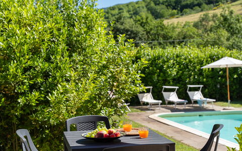 Villa Il Nido: Wasser, Pflanze, Möbel, Pflanzengemeinschaft, Grün, Gartenmöbel, Tabelle, Schwimmbad, Blume, Baum