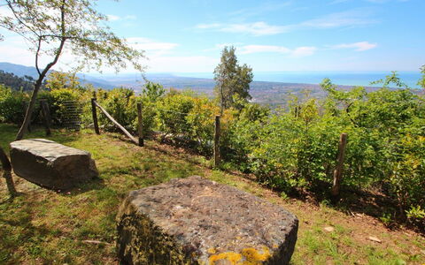 Villa Miramare: Natur, Wildnis, Natürlichen Umgebung, Baum, Natürliche Landschaft, Naturschutzgebiet, \Fels, Berg, Himmel, Wald