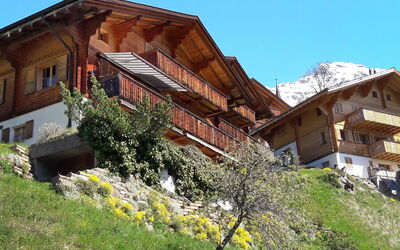 Bluemewäg Apt.r - Wengen Be, Bern, Schweiz