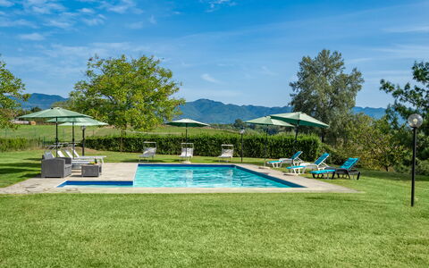 Villa La Collina: Pflanze, Himmel, Wolke, Regenschirm, Wasser, Schwimmbad, Baum, Stuhl, Schatten, Gartenmöbel