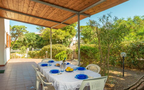 Valledoria 710: Tabelle, Pflanze, Möbel, Geschirr, Stuhl, Schatten, Interior Design, Gartenmöbel, Tisch Im Freien, Baum