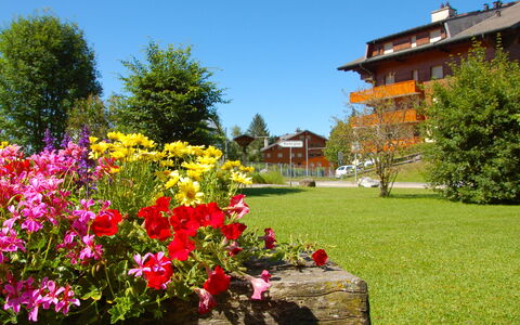 Villars 125: Blume, Natur, Garten, Pflanze, Frühling, Baum, Himmel, Gras, Botanik, Haus