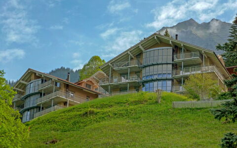 Wengen 62: Eigentum, Haus, Zuhause, Vegetation, Natürliche Landschaft, Grundeigentum, Gebäude, Grundstueck, Bergstation, Die Architektur