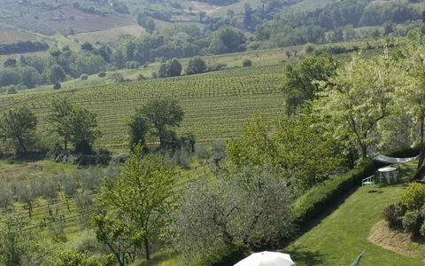 Agriturismo Paterno: Vegetation, Natürliche Landschaft, Hochland, Naturschutzgebiet, Natürlichen Umgebung, Wildnis, Bergstation, Baum, Hügel, Berg