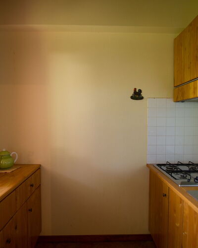 Borgo Maisale Camelia 160.1