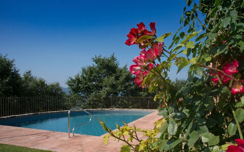 Villa Mandorlo: Wasser, Himmel, Blume, Pflanze, Eigentum, Natur, Schwimmbad, Vegetation, Baum, Blütenblatt