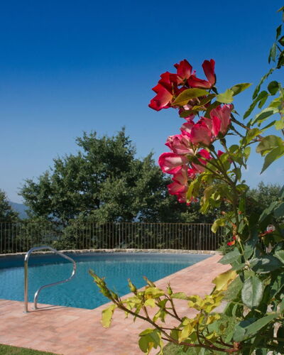 Villa Mandorlo