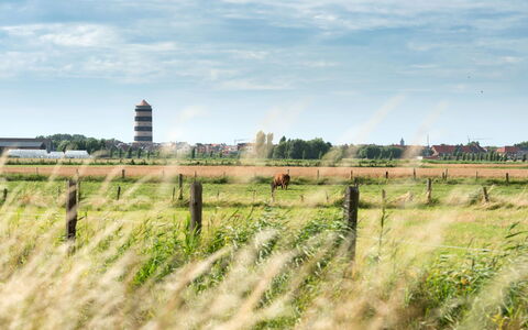 Zeeparel 402 with Balcony: Wolke, Pflanze, Himmel, Natürliche Landschaft, Zaun, Grundstueck, Gras, Wiese, Einfach, Baum