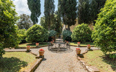 Villa de Ranieri: Pflanze, Strassenbelag, Baum, Natürliche Landschaft, Gras, Gehölz, Immergrün, Freizeit, Ground, Strasse