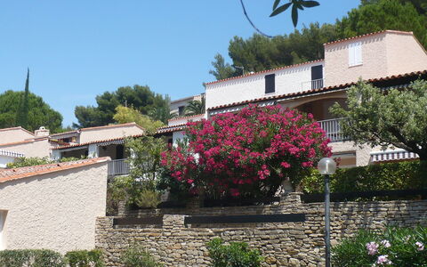 Saint Cyr sur Mer la Madrague 900: Himmel, Pflanze, Blume, Gebäude, Fenster, Baum, Haus, Hütte, Fassade, Strauch
