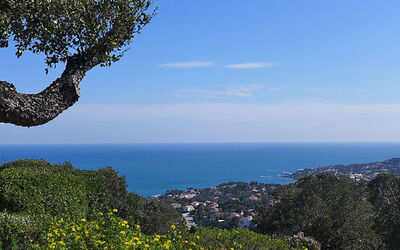 Le Grand Boucharel Ii